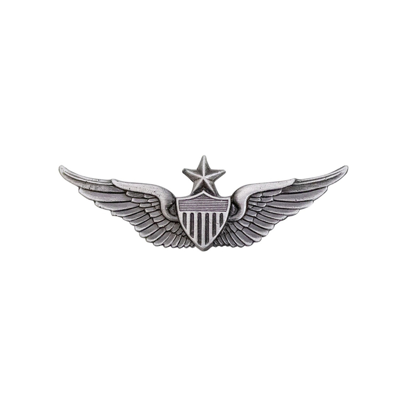 Naval Aviator Badge Sliver