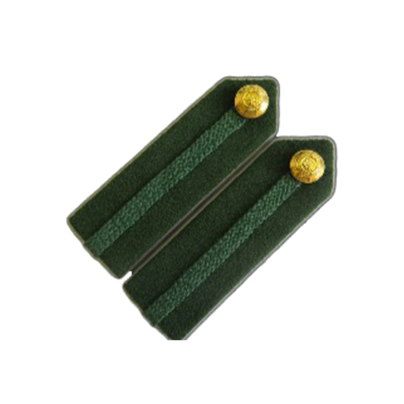 Staff No1 Dress Gorgets Dental G