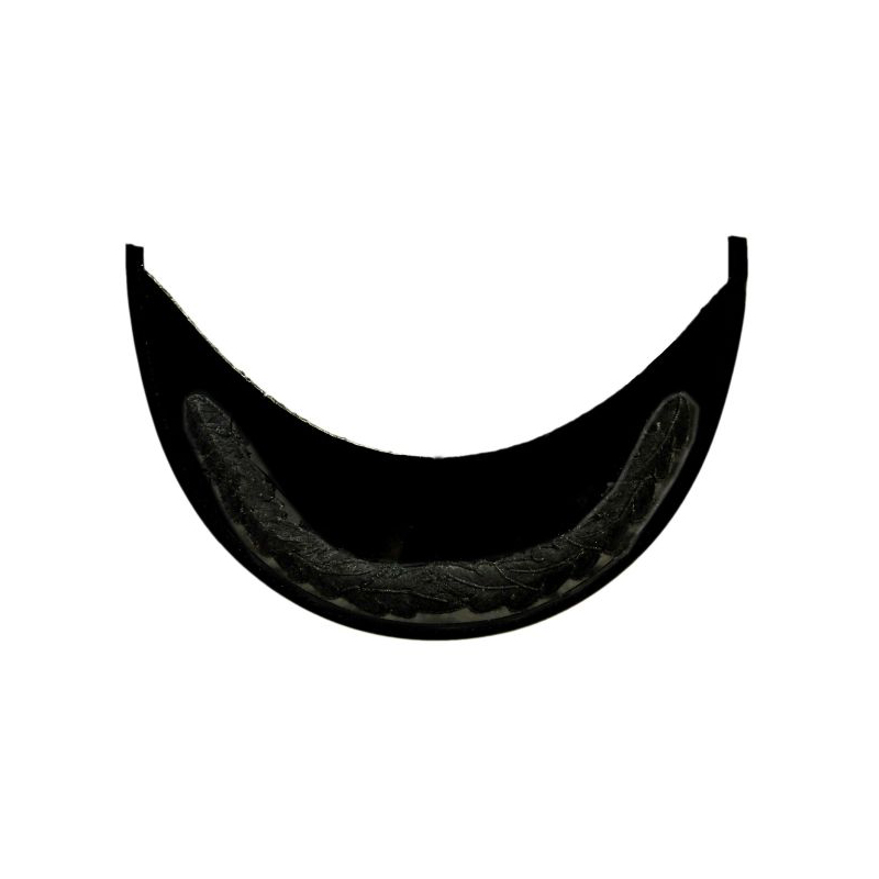 Black Silky Oak Leaf